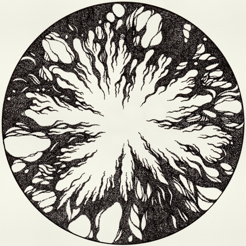 Venice 85 - Exergonia (2021)