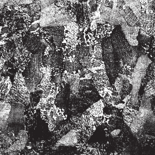 Full Of Hell - Auditory Trauma: Full of Hell Isolation Sessions (Live) (2021)