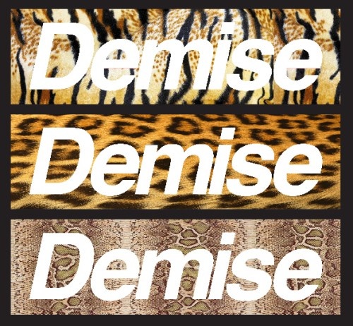 Your Demise - Discography (2006-2014)