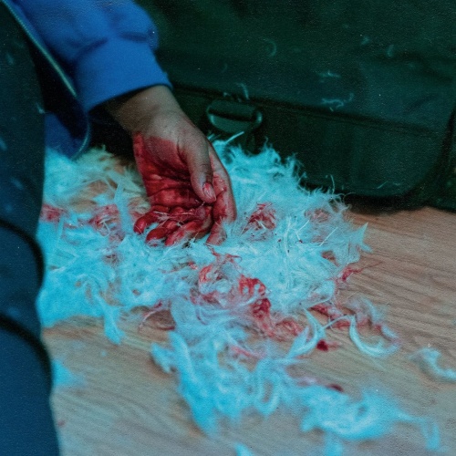 Kaonashi - Dear Lemon House, You Ruined Me: Senior Year (2021)