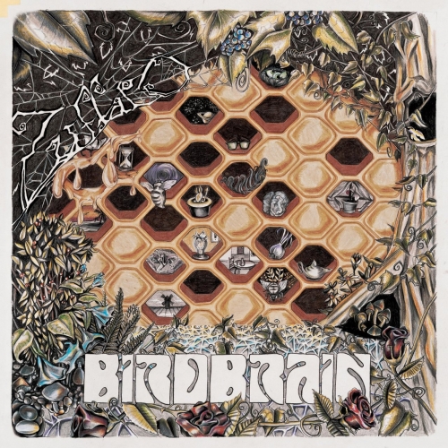 Zuffalo - Birdbrain (2021)
