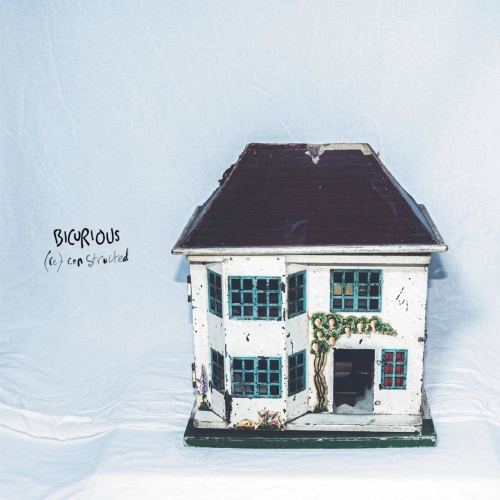 Bicurious - (re)constructed (2021)