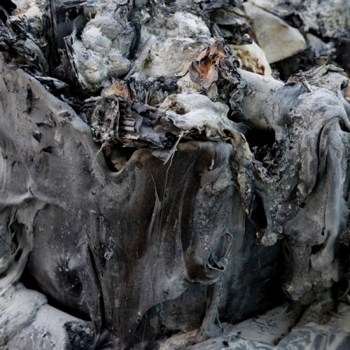 Annihilus - Follow a Song from the Sky (2021)