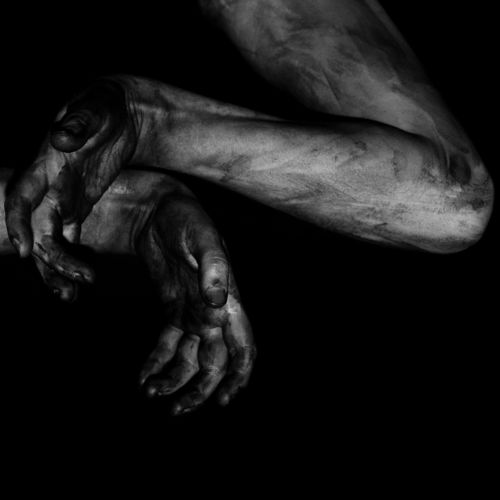 Fawn Limbs - Darwin Falls (2021)