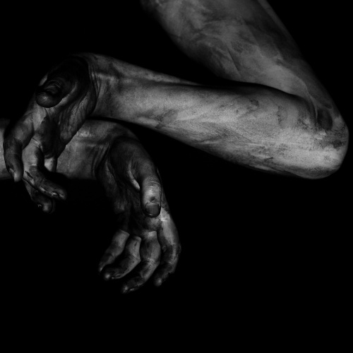 Fawn Limbs - Darwin Falls (2021)