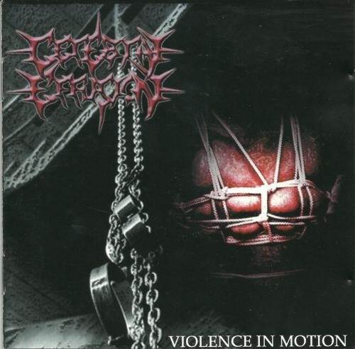 Cerebral Effusion - Discography (2003-2021)