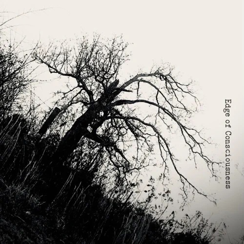 Insincerus - Edge of Consciousness (2021)