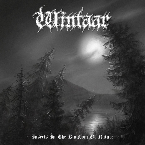 Wintaar - Insects in the Kingdom of Nature (2021)