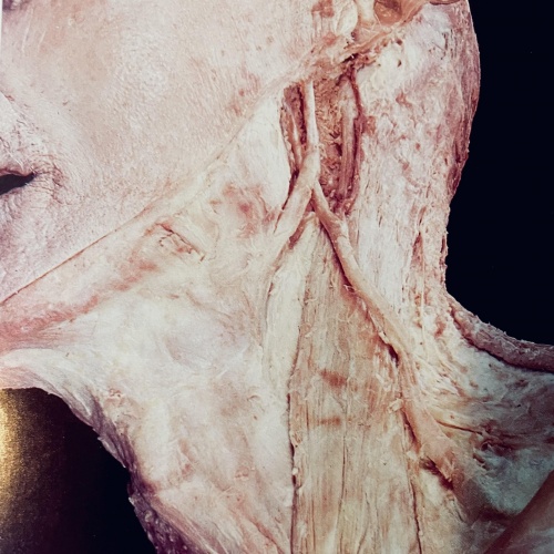 Occulte - Trous Noirs (2021)