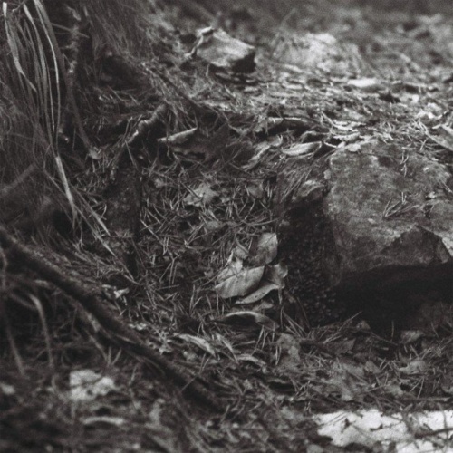 Nocturnal Nightmare - Abstrakt Sinne (2021)