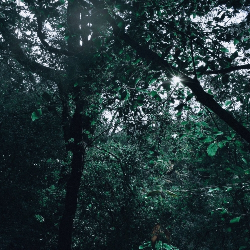 Sorrowful Life - Sorrowful Life (2021)