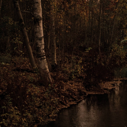  Aran - Pimeyttä Vasten (2021)