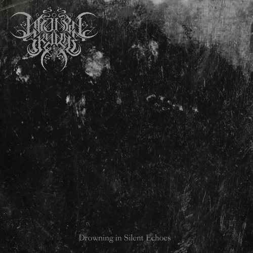 Manen Skygge - Drowning in Silent Echoes (2021)