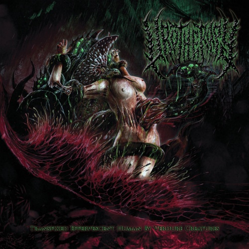 Urotherapy - Transfixed Effervescent Human By Verdure Creatures (2021)