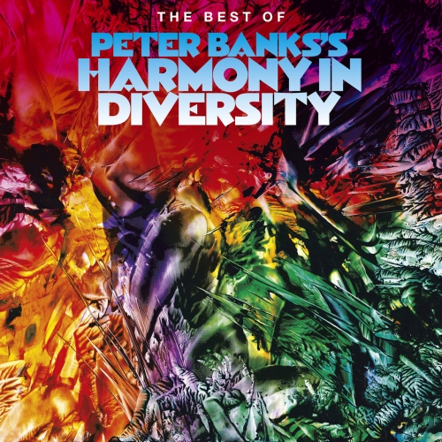 Peter Banks - The Best of Peter Banks's Harmony in Diversity (2021)