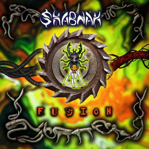 Shabnak - Fusion (2021)