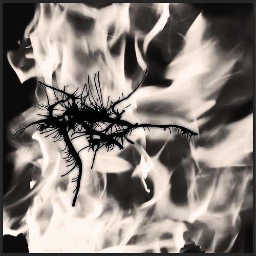 Calgacus - Age of Pestilence (2021)