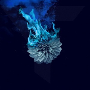 Wolves At The Gate - Lowborn (Single) (2021)