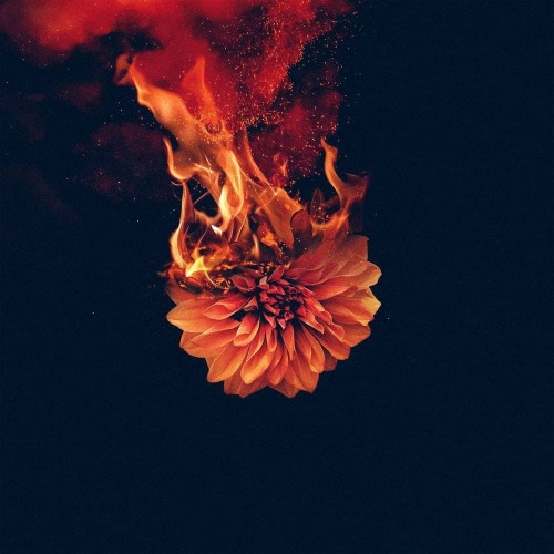 Wolves At The Gate - Shadows (Single) (2021)