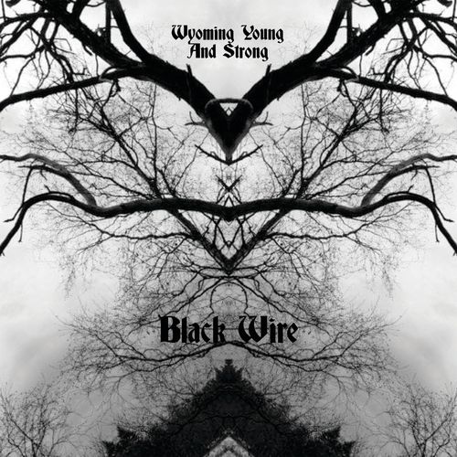 Wyoming Young and Strong - Black Wire (2021)