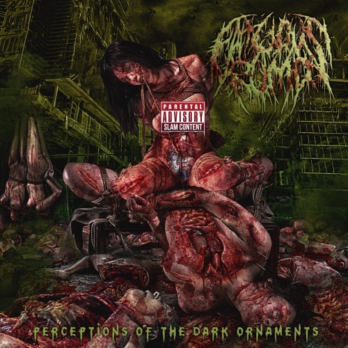 Fatuous Rump - Perceptions of the Dark Ornaments (2021)