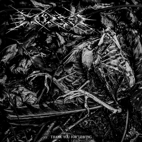 Morser - Thank You for Leaving (2021)