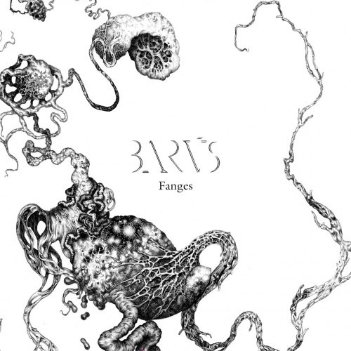 Barus - Fanges (2021)