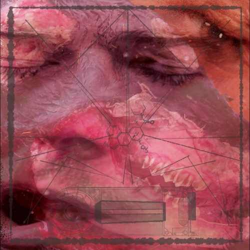 BLK OPS - The Heroic Dose (2021)