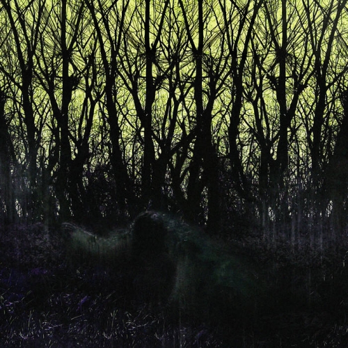 Metagnomist - Divorced from Humanity (2021)