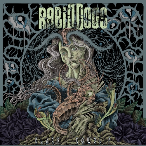 Rabid Dogs - Black Cowslip (2022)