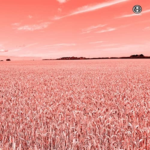 Lee Rogers - Seeker (2022)