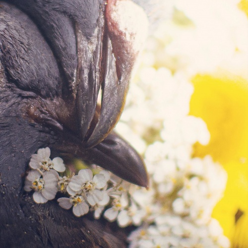 Life's Ill - As I Watch Above (2022)