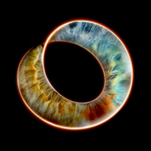 Evil Love Mule - Mobius Trip (2022)