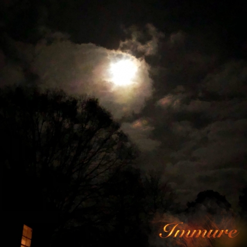 Aaron Kukulka - Immure (2022)