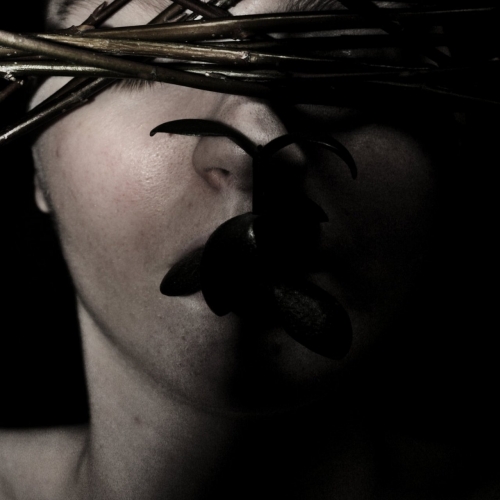 Sulphur Nurse - Roopkund (2022)