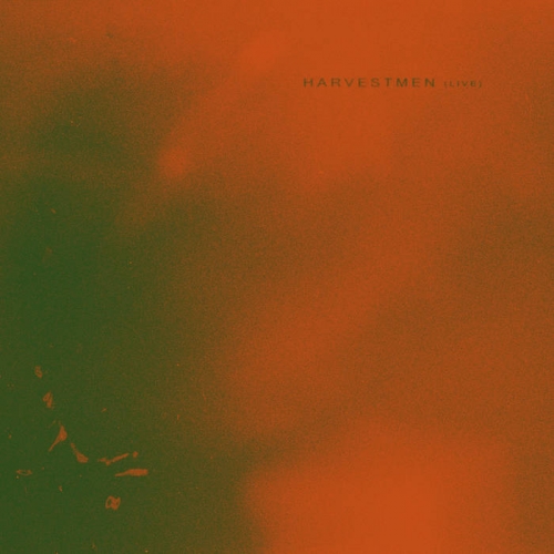 Bees Made Honey in the Vein Tree - Harvestmen (2022)