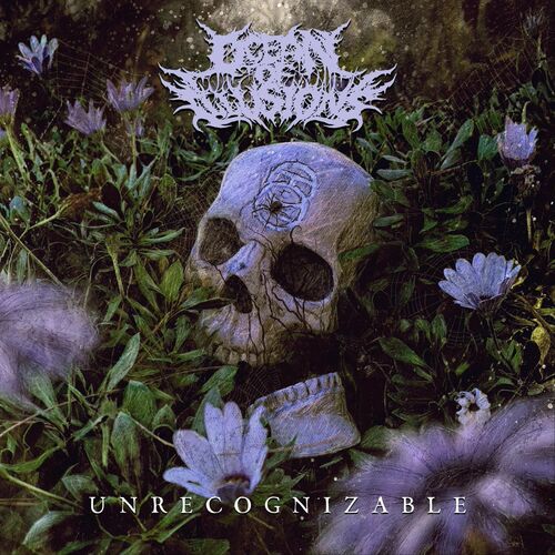 Ocean of Illusions - Unrecognizable (2022)