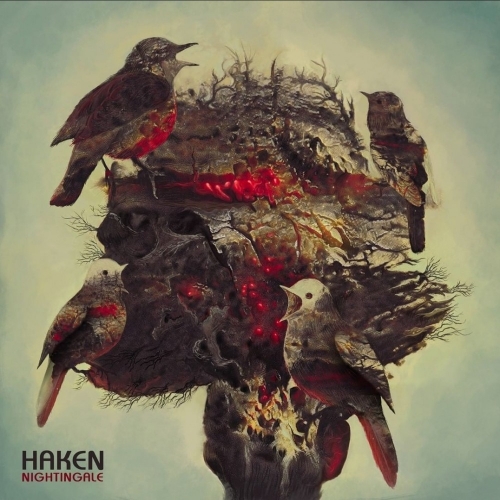 Haken - Nightingale (Single) (2022)