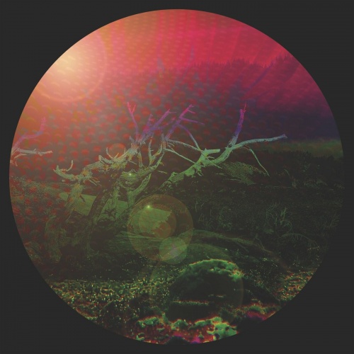 Supplemental Pills - Supplemental Pills (2022)