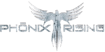 Phonix Rising [Phönix Rising] - Сrimе Sсеnе Сlеаnеr (2010)