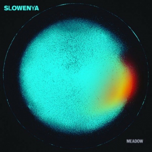 Slowenya - Meadow (2022)