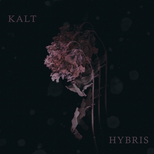 Kalt - Hybris (2022)