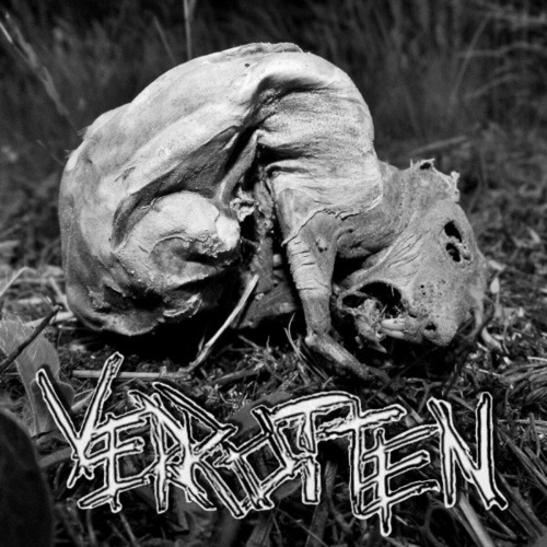 Verrotten - Verrotten (2022)