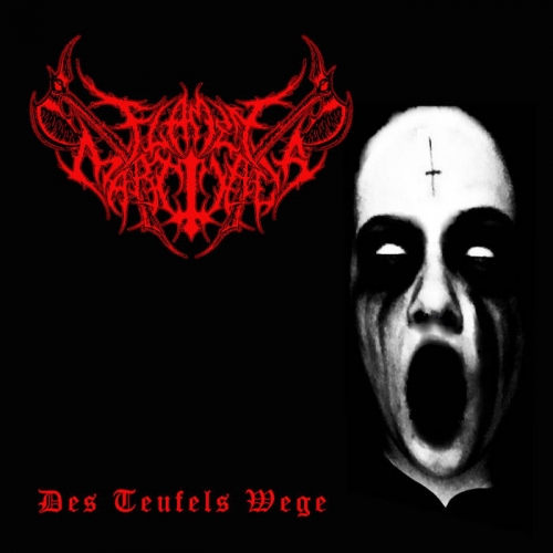 Flamen Martialis - Des Teufels Wege (2022)