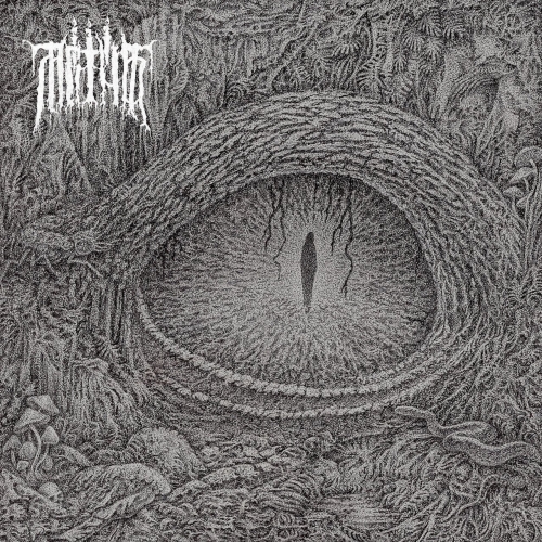 Mrtva Vod - Divided in Life (2022)