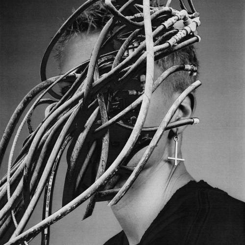 Trace Amount - Anti Body Language (2022)