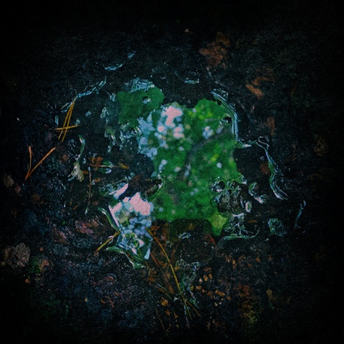 Aūkels - Ebwaidilīsnā (2022)