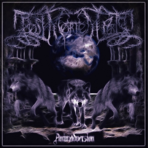 Post Mortem Arts - Animadversion (2022)