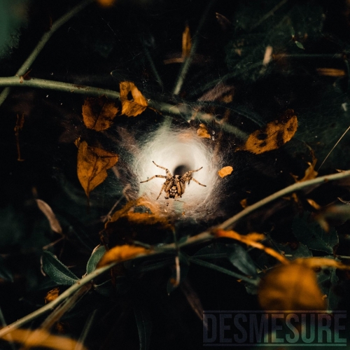 Desmesure - Ikigai (2022)