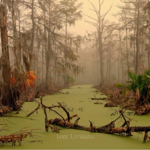 OneUnder - Long Louisiana (2022)